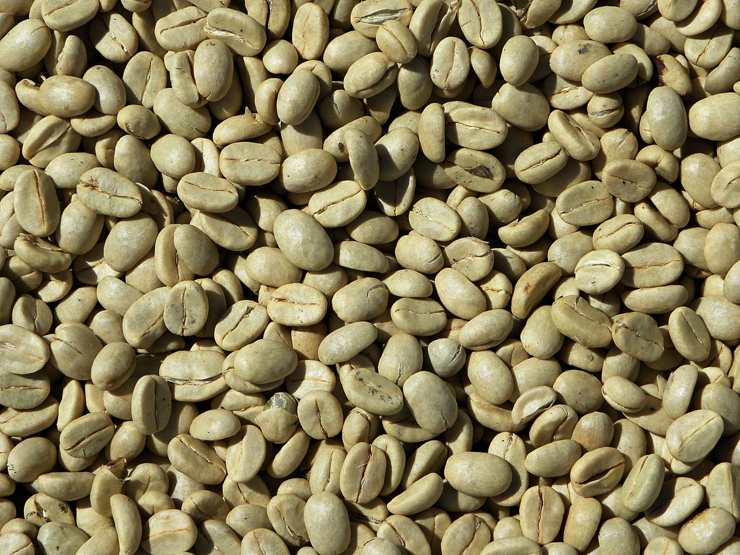 Café en grains